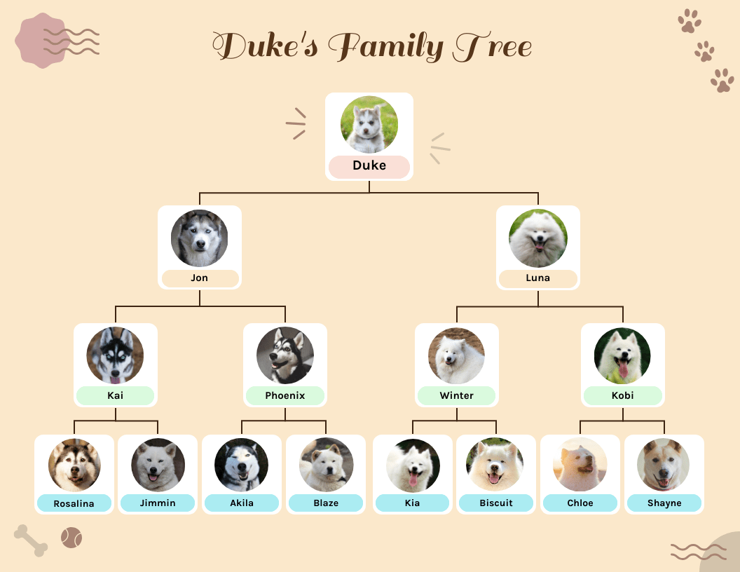 Pet Family Tree Chart
