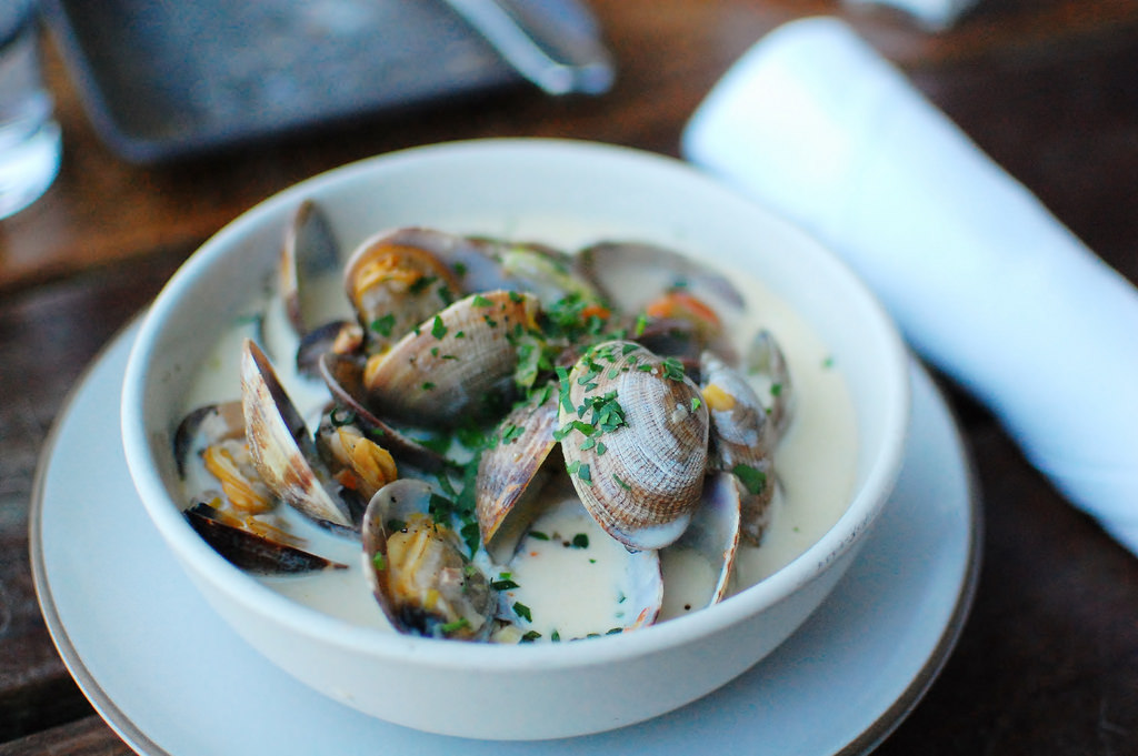 In Search of New England’s Best Clam Chowder Tradewind Aviation