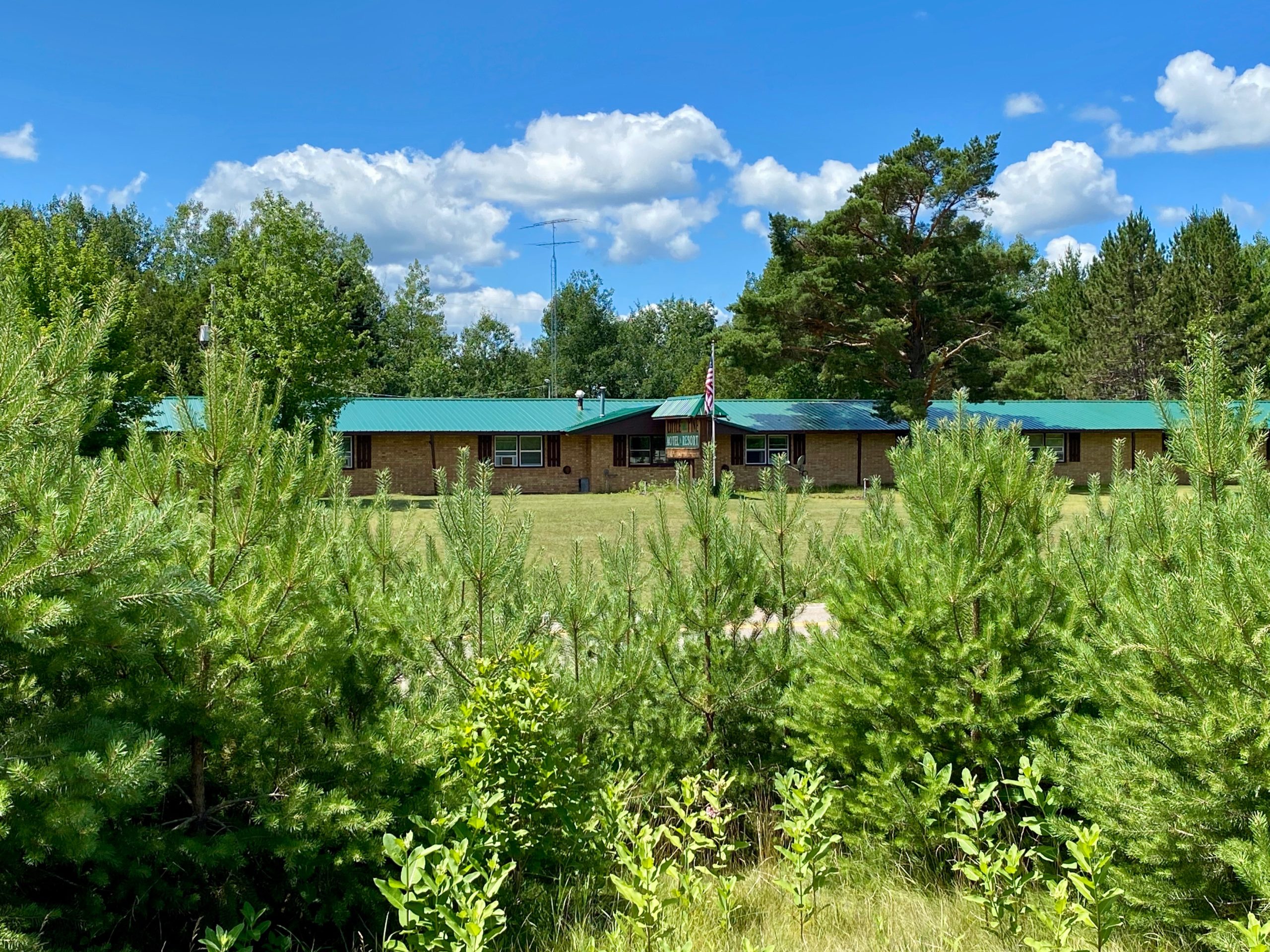 2022 Hiles WI Fungi Foray