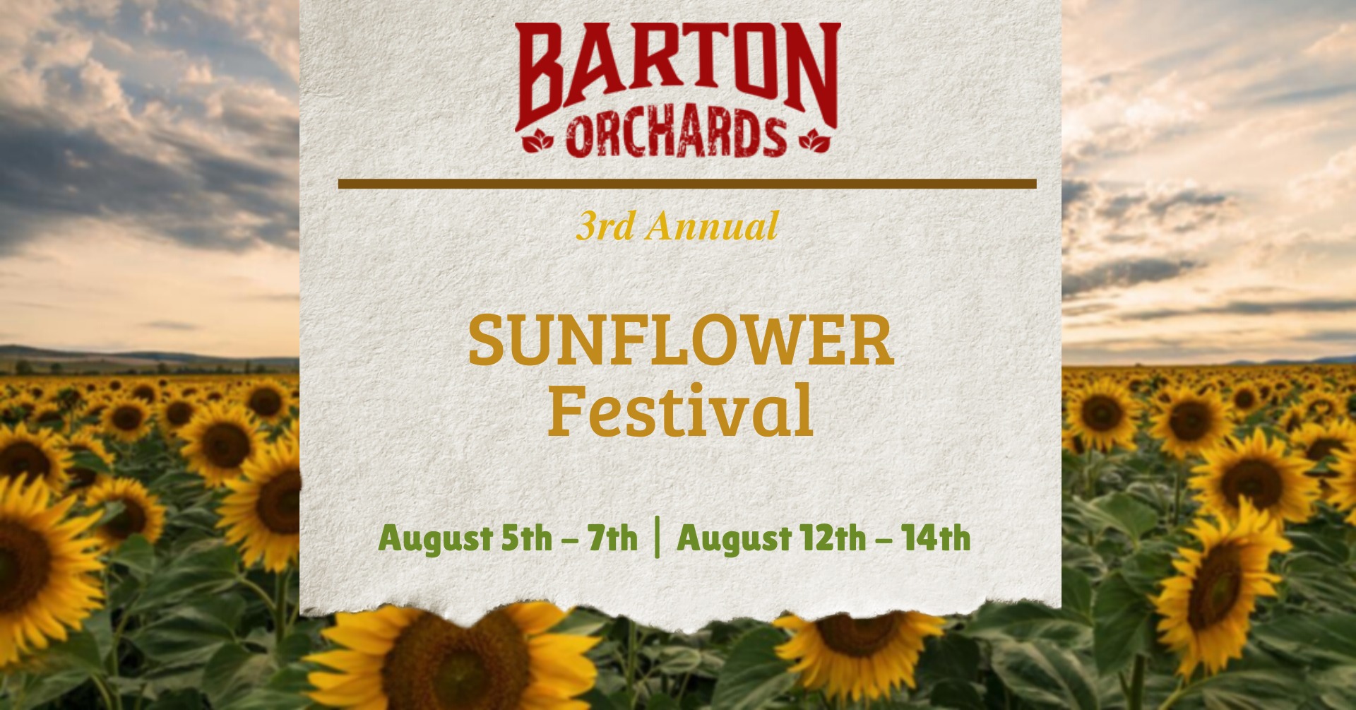 4th Annual Sunflower Festival