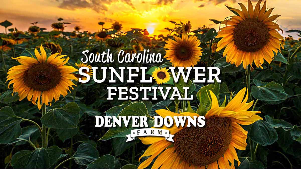 SC Sunflower Festival