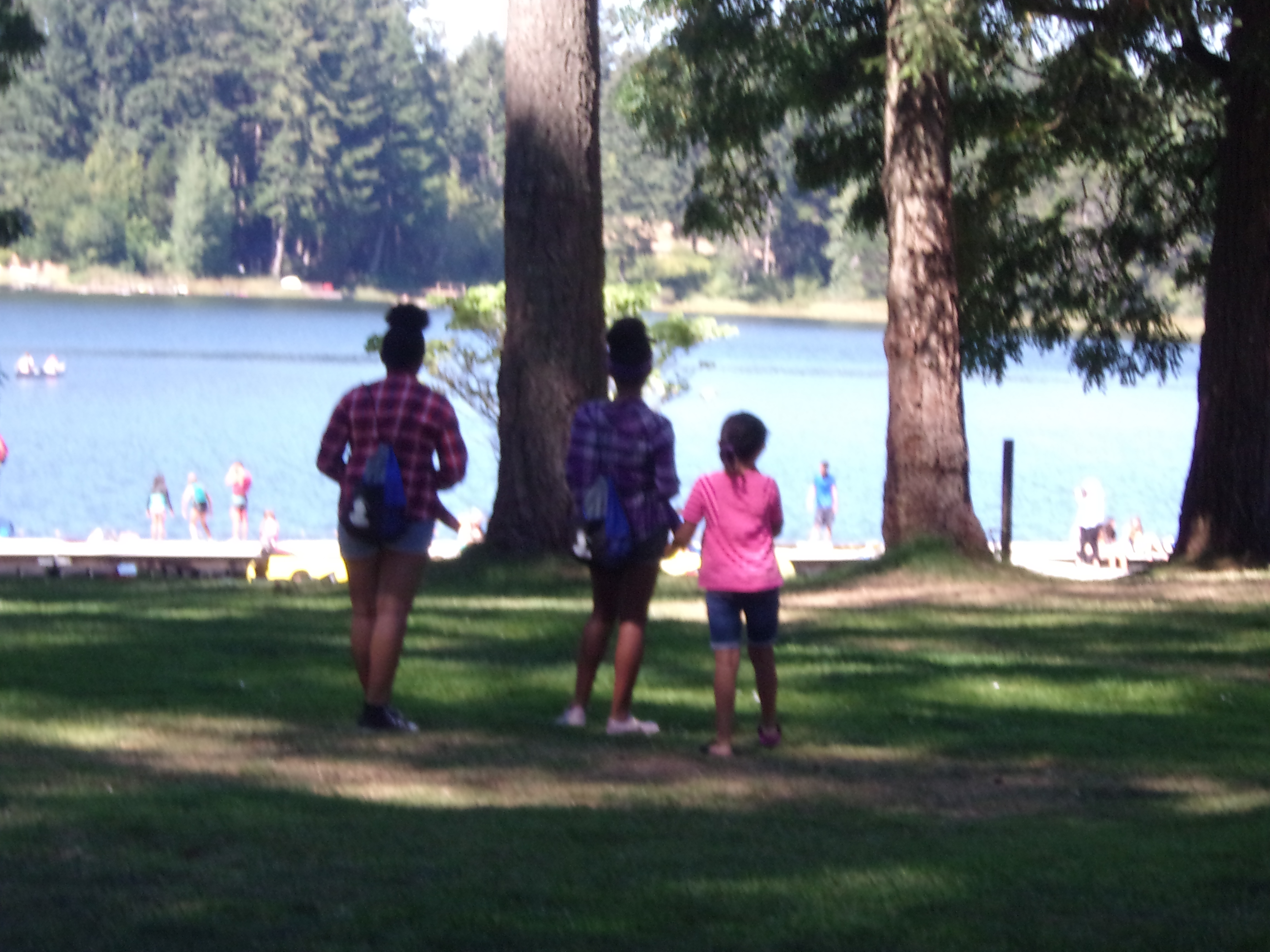 Camp To Belong Wa Volunteers 2019