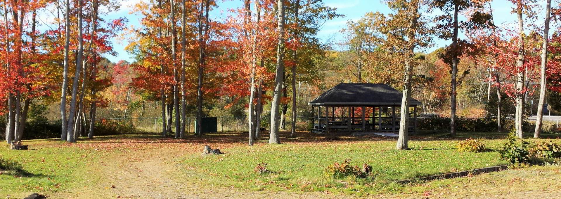 Meadowview Community Centre, Meadowview Development Association