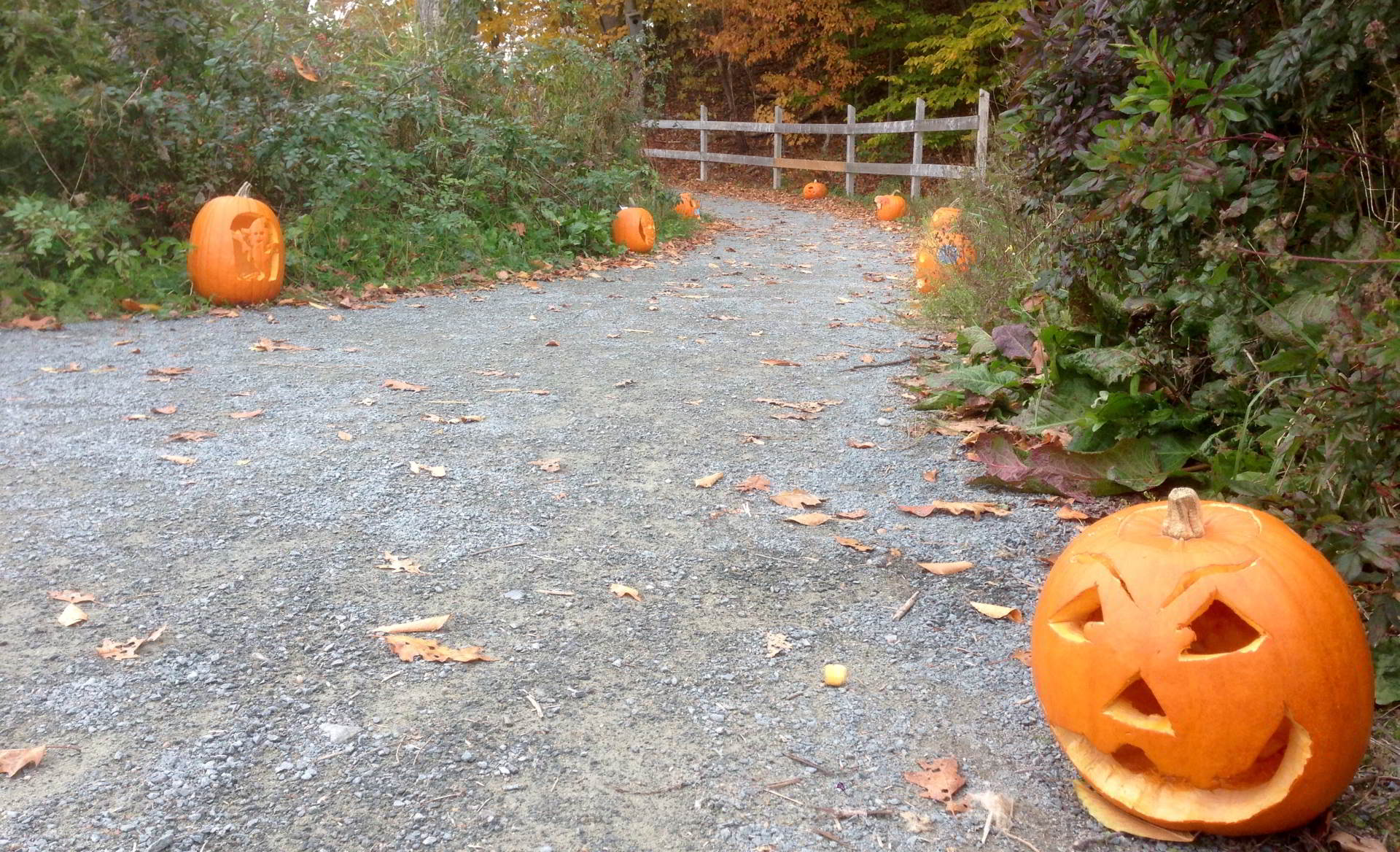 NSCC Tourism Annual Kentville Pumpkin Walk