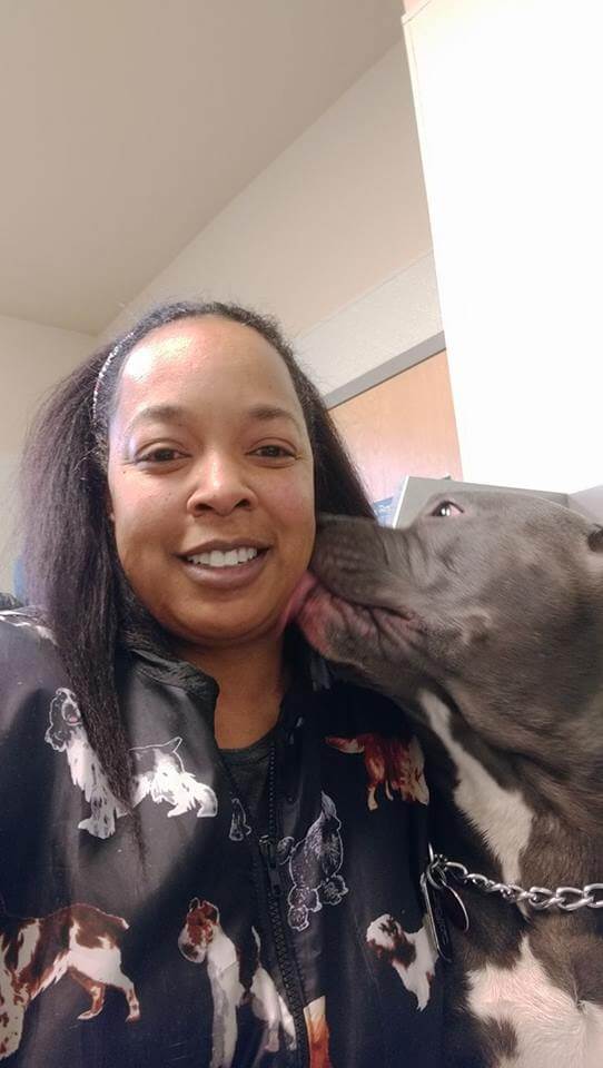 Animal House Pet Grooming