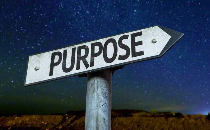 What's the Fuss about Having a Purpose? - Nina Amir