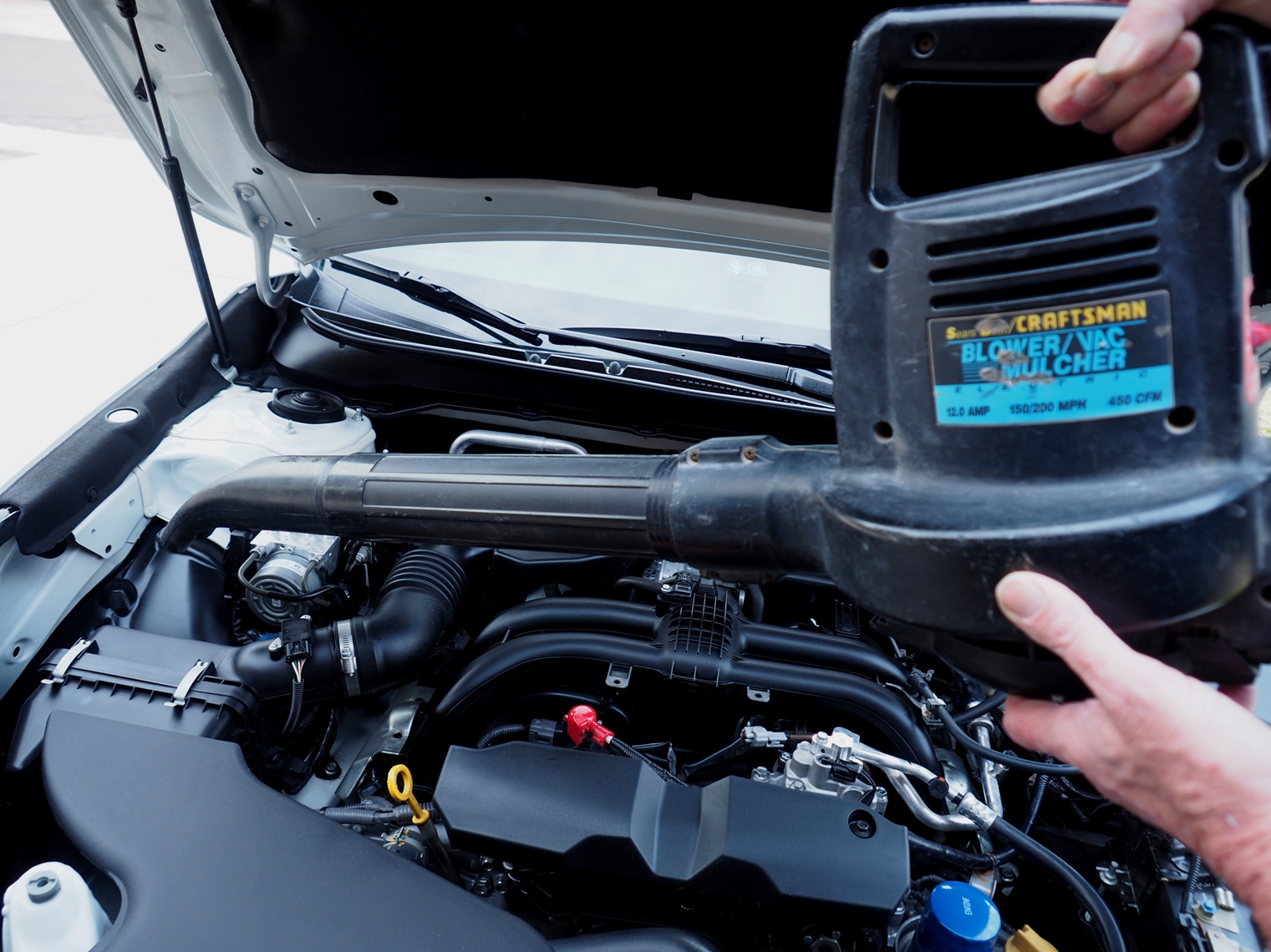 Learn The Leaf Blower For Car Drying Method & Find The Best Car