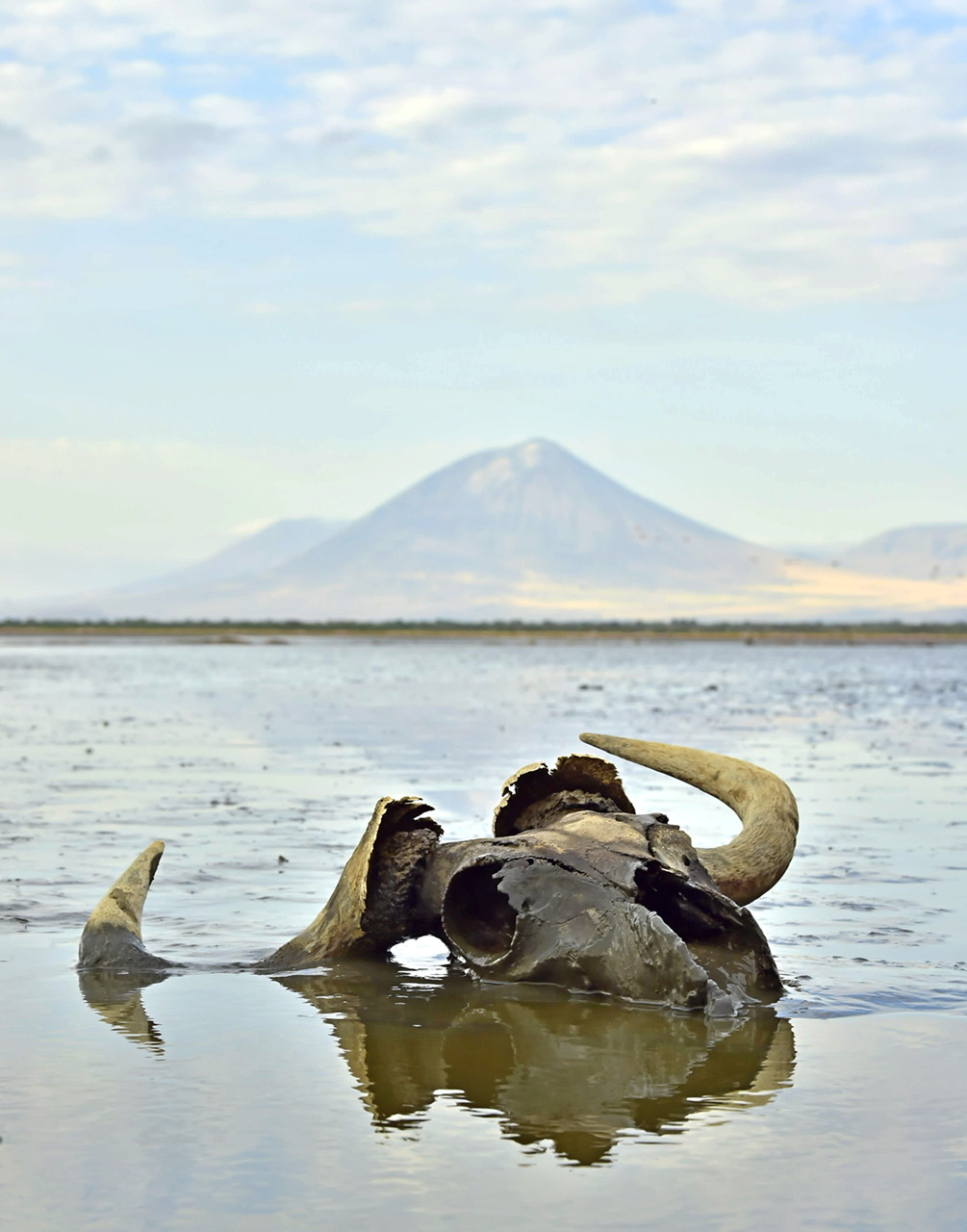 Lake Natron Deadly to Most Life, but the Flamingos Love It » Explorersweb