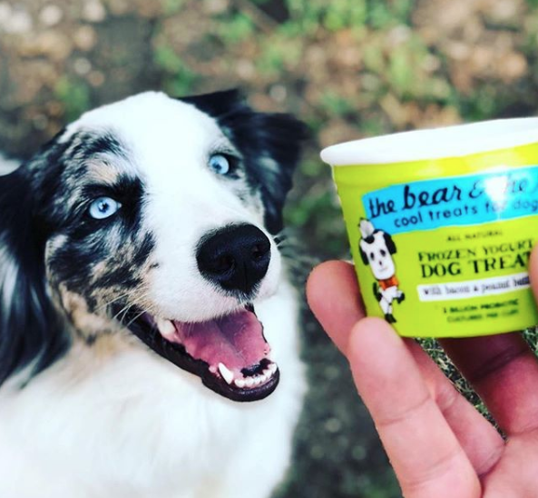 Meg Meyer On Starting A Frozen Yogurt Dog Treats Business Starter