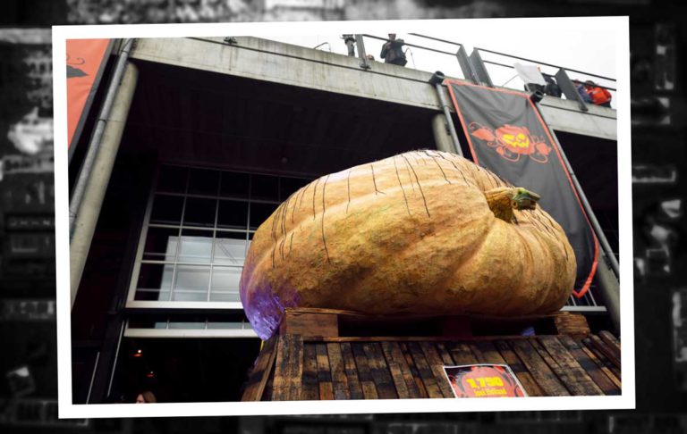 From Farm to Pumpkin Beer Stories by The