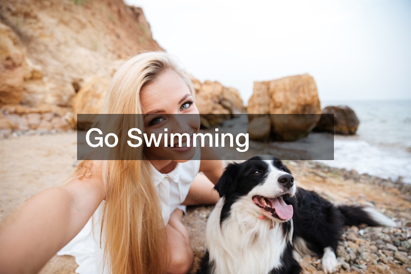Top Outdoor DogFriendly Activities Near Me Pet Magazine