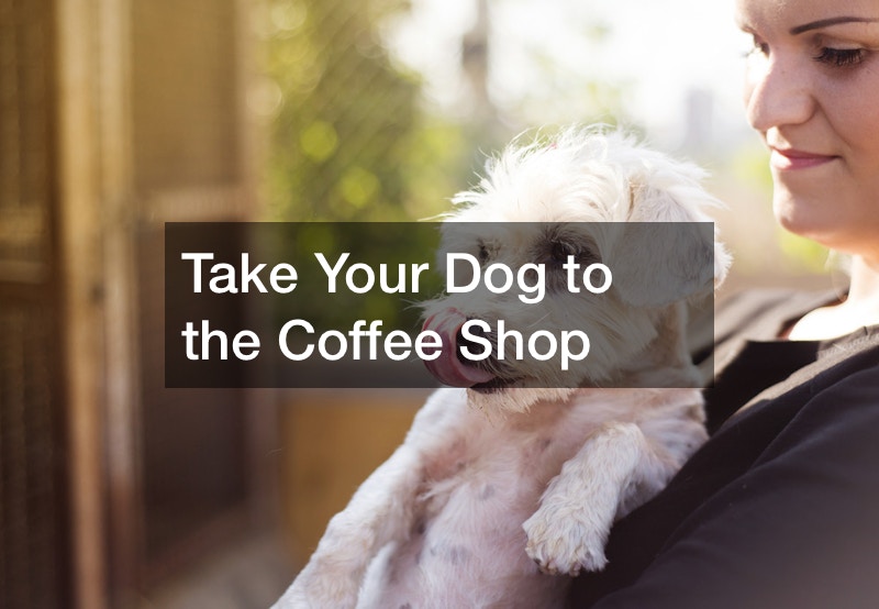 Top Outdoor DogFriendly Activities Near Me Pet Magazine