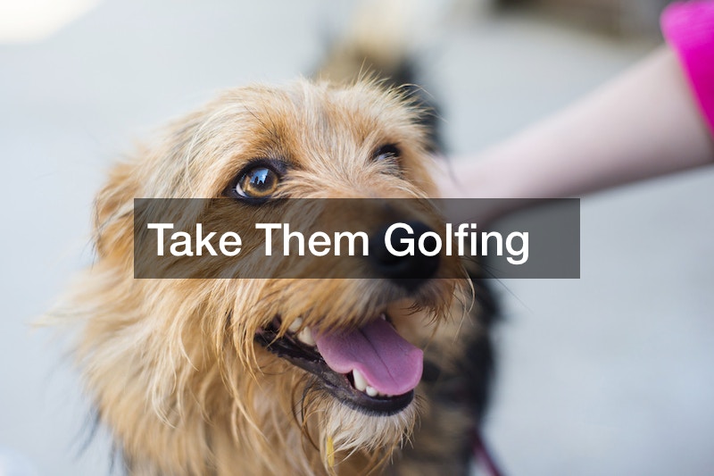 Top Outdoor DogFriendly Activities Near Me Pet Magazine