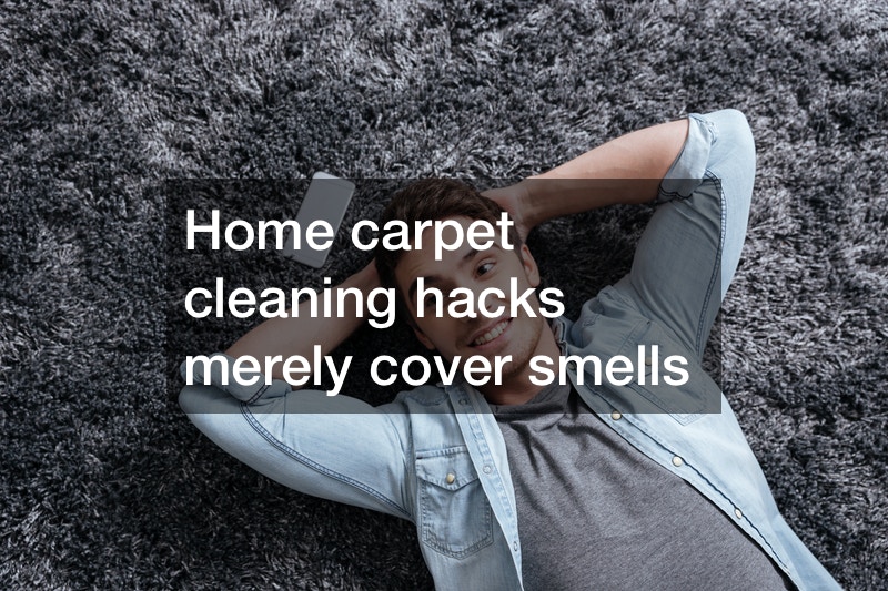 Carpet Cleaning Service DIY Projects for Home carpet odor treatment