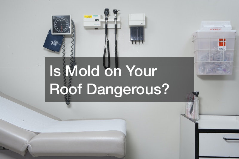 How to Clean Roof Mold Daily Inbox
