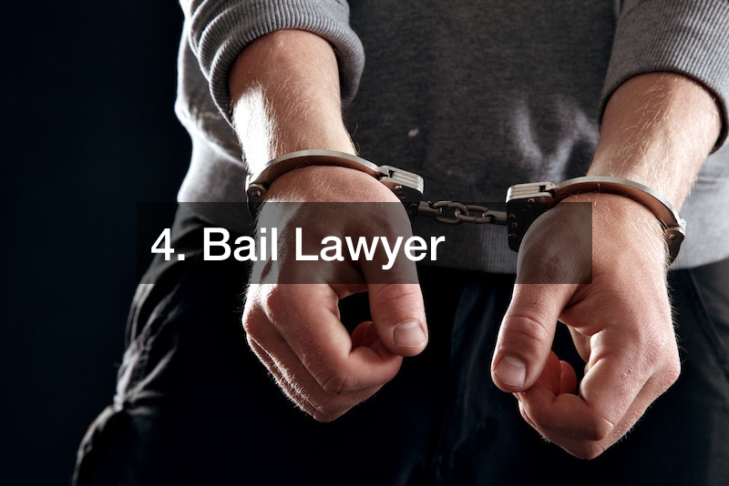 What Are the Different Types of Criminal Lawyers? Daily Inbox