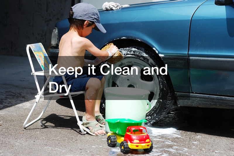 How to Preserve Your Old Car Carpet Cleaning Fort Dodge
