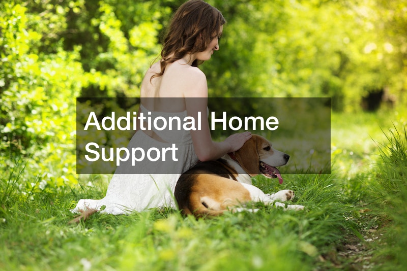 Everything Covered on the Best Affordable Pet Insurance for Dogs