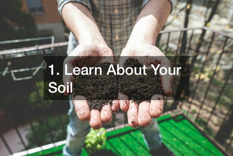 Lone Star Landscaping Your Guide to Texas Lawn Management Power On Texas