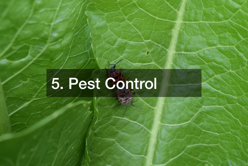 Lone Star Landscaping Your Guide to Texas Lawn Management Power On Texas