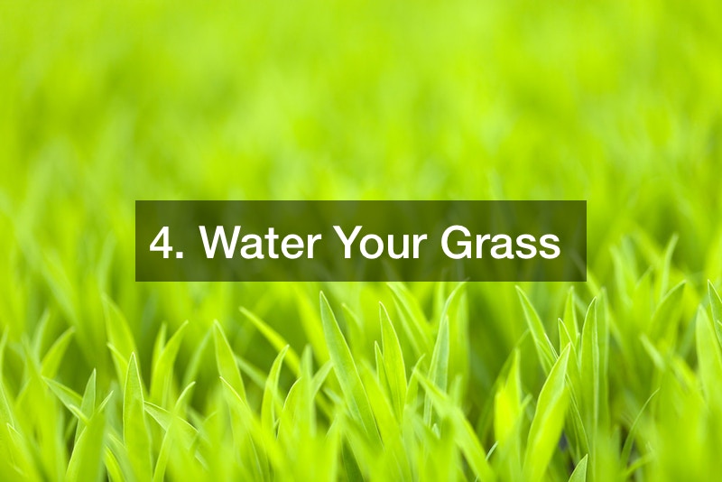 Lone Star Landscaping Your Guide to Texas Lawn Management Power On Texas