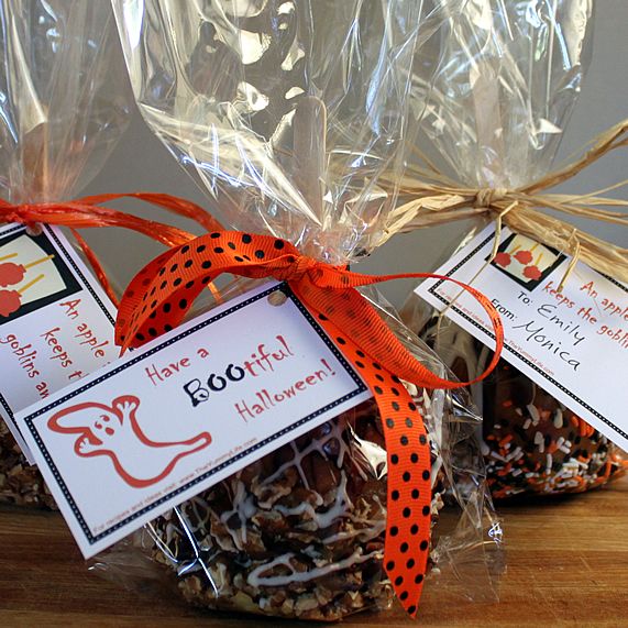 Bags For Candy Apples IUCN Water