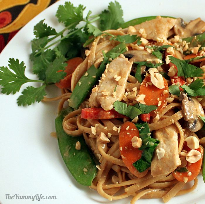 Asian Peanut Noodles With Chicken and Vegetables