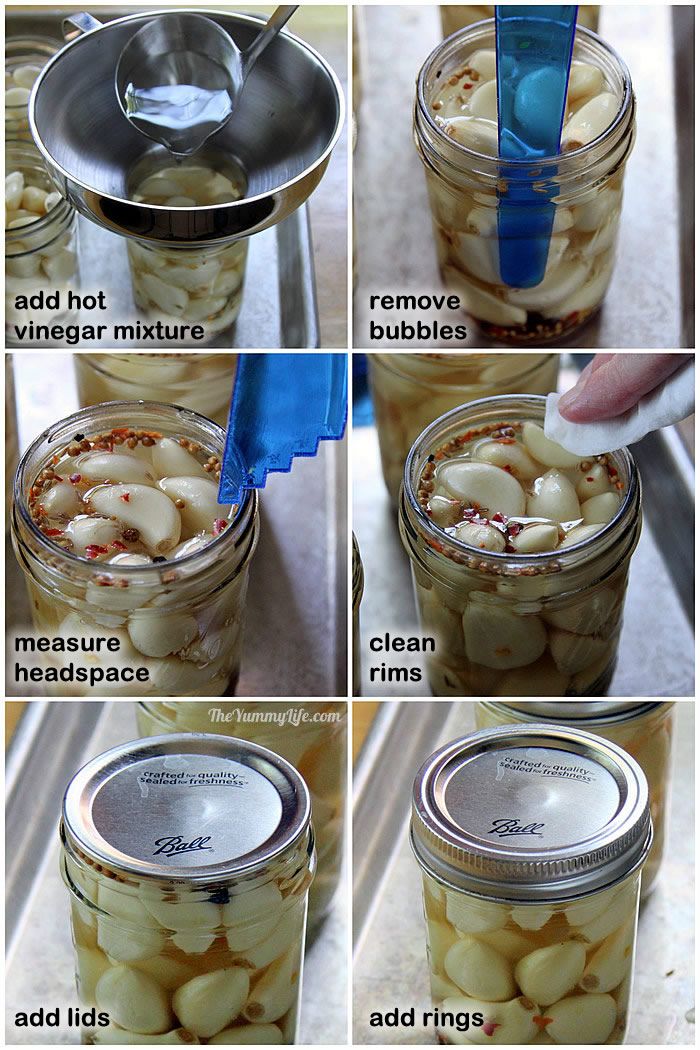 Easy Pickled Garlic for refrigerating or canning