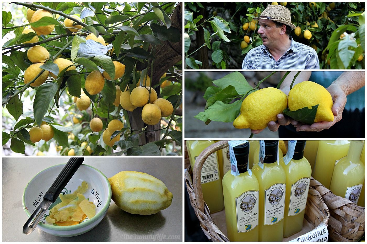 Limoncello Lemon Liqueur and Cocktail Mixer