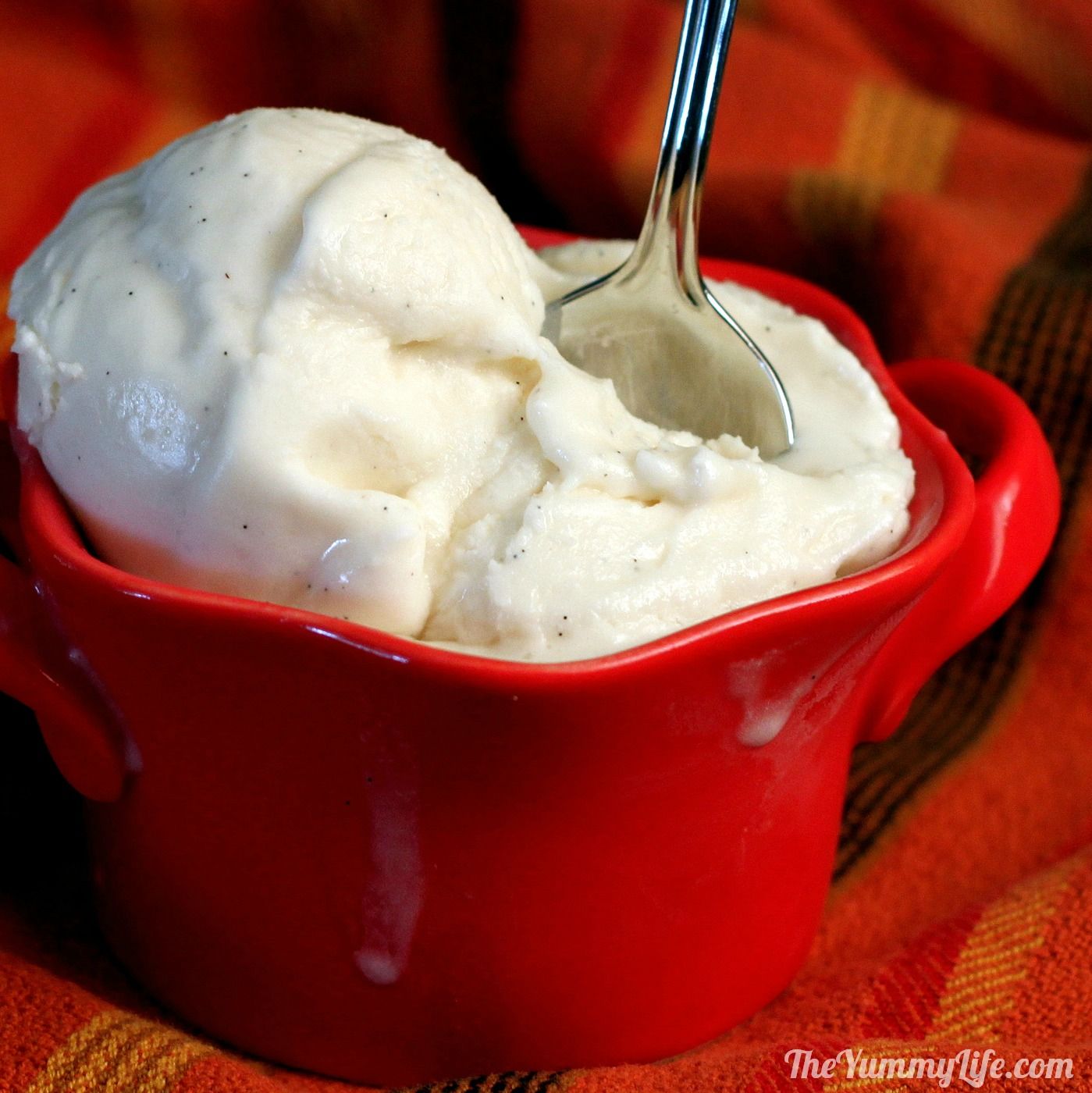 Smooth and Creamy Vanilla Bean Ice Cream