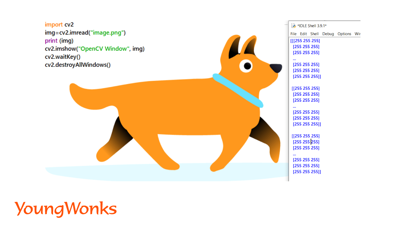 Getting started with Python Image Processing using OpenCV