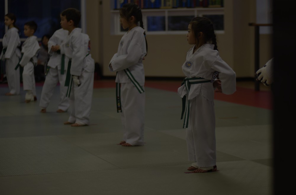  White Tiger Martial Arts, LLC