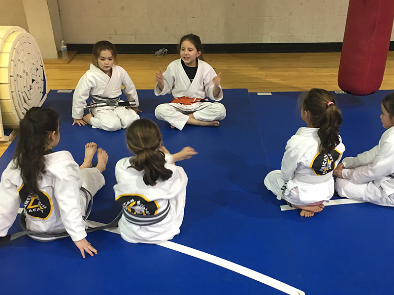 programs3 American Martial Arts Academy Inc