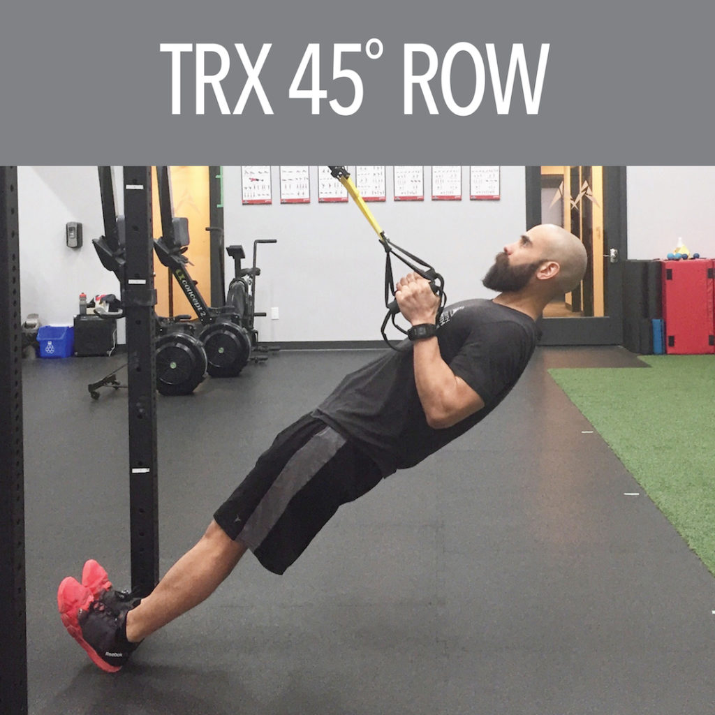 QuarterTwoHorizontalPull02FundamentalsFinal True North Strength