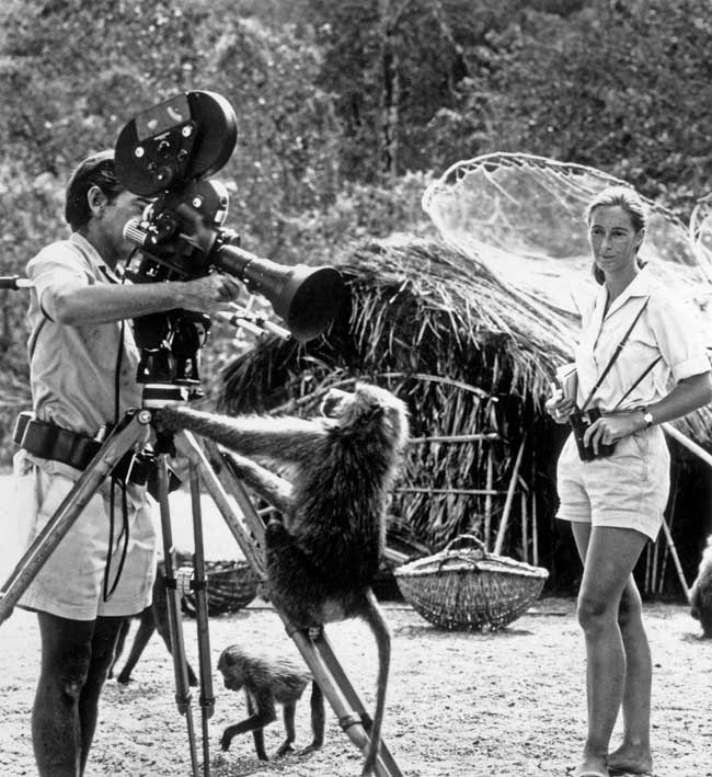 Jane Goodall The Conservation Activist Is Still Making a Difference in(019)