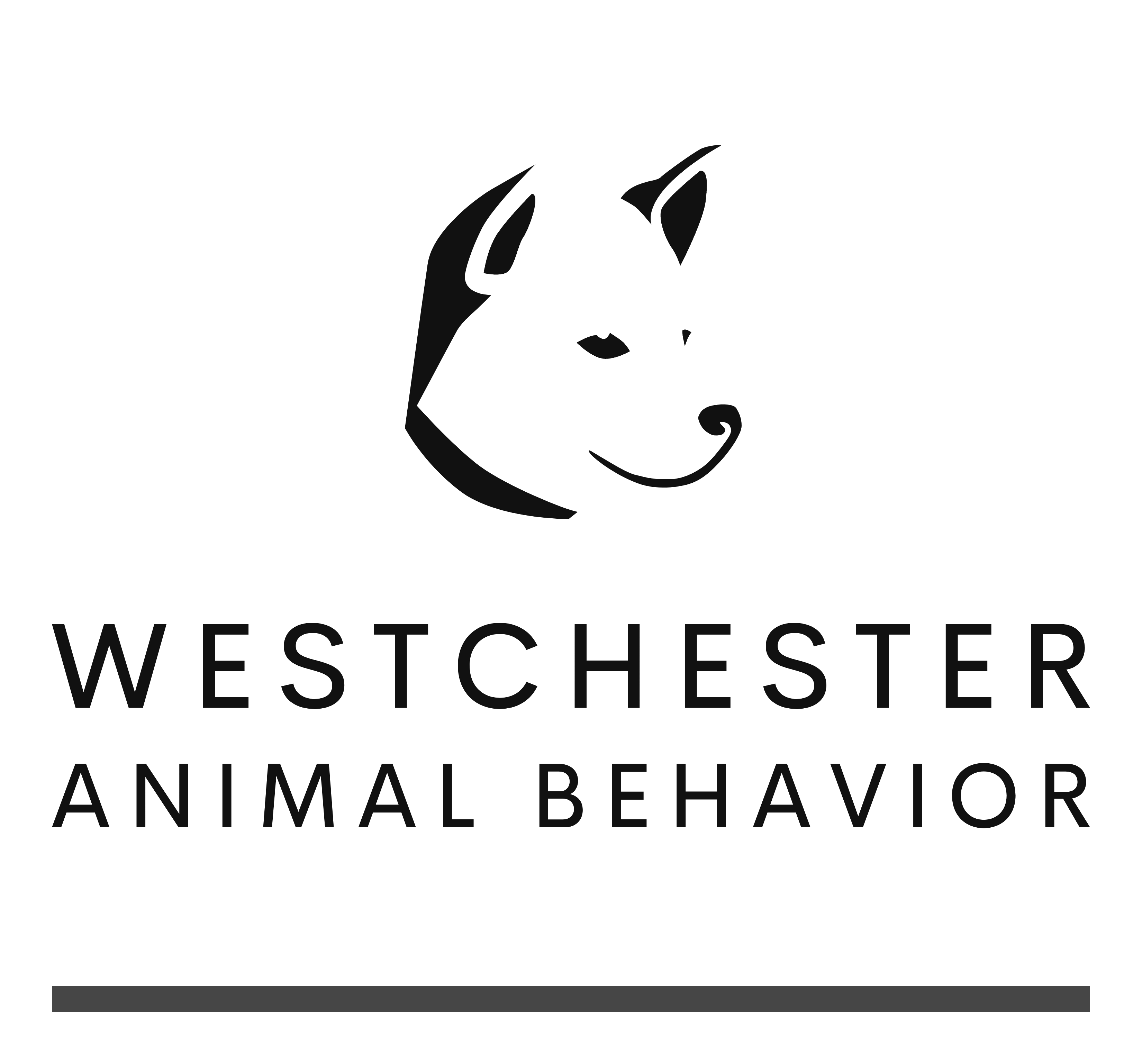 Dog Trainer & Private Dog Training in Westchester County, NY