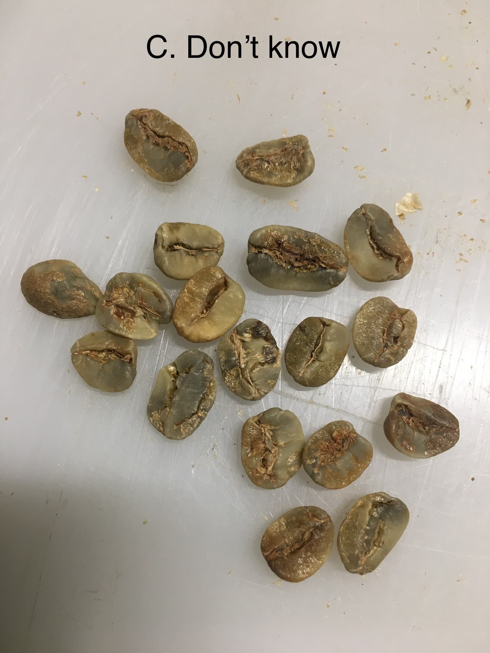 Learning Green Bean Defects Beans Roast World Community