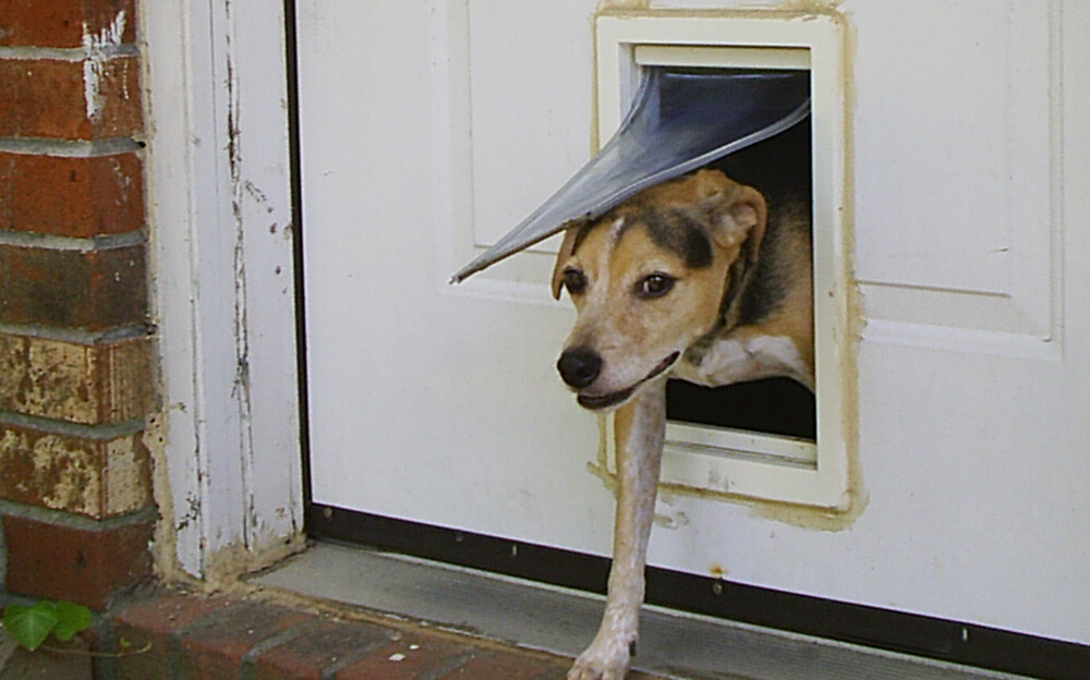 5 Crimes That Turned Out to Be Completely Impossible