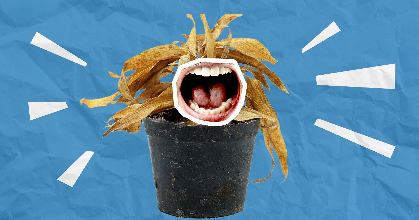 Not Watering Your Plants? You Might Be Hearing Them Scream in Agony