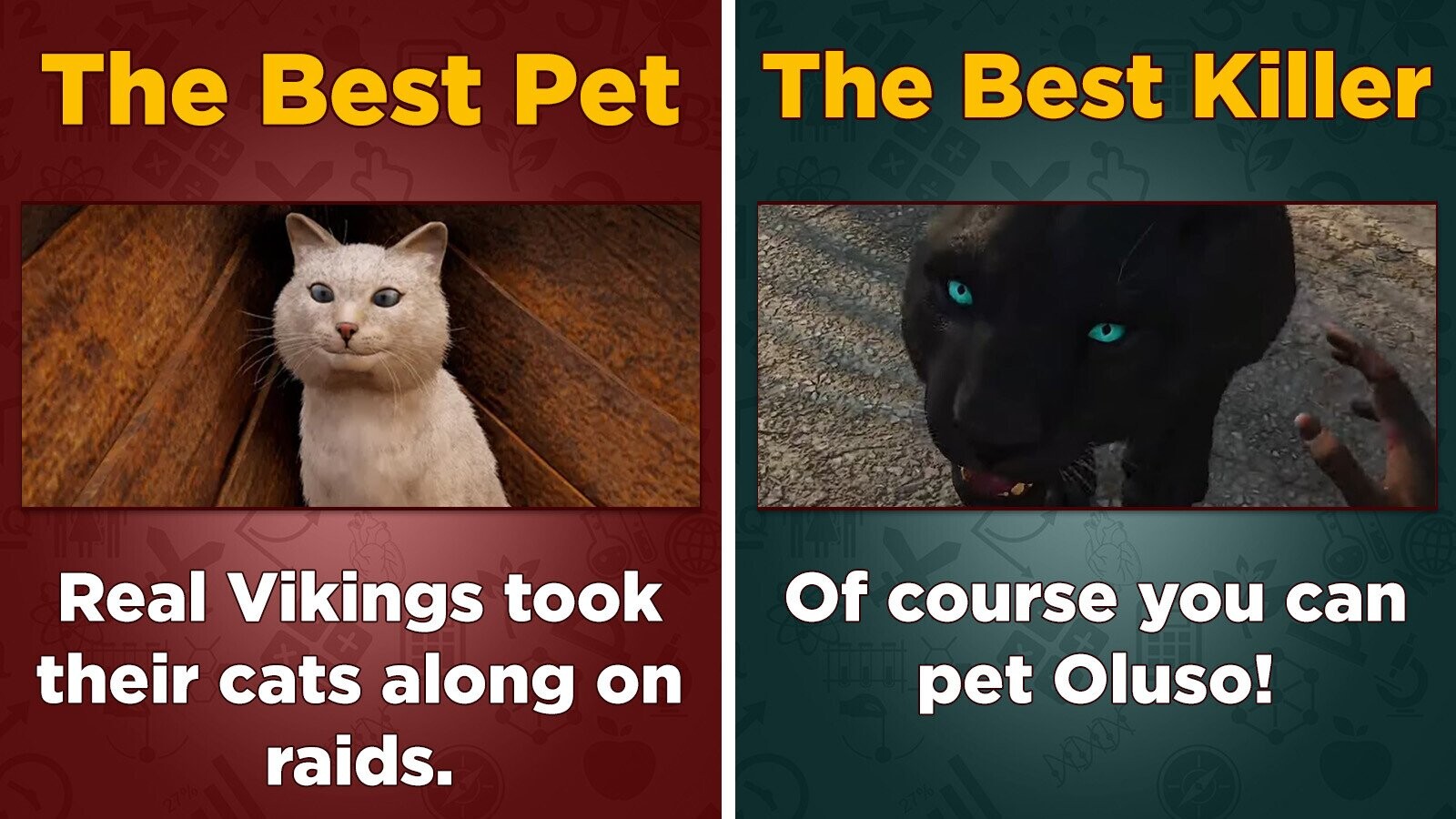 Cats In Ubisoft Games Ranked