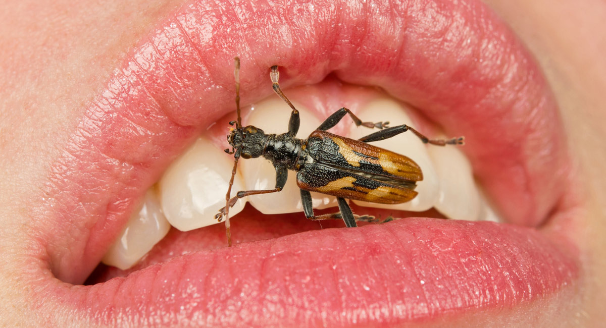 5 Horrifying Insects That Can SneakAttack Your Body