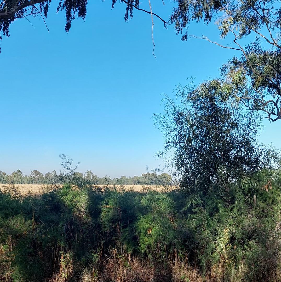 1.1,147ha Vacant Land Agricultural For Sale in De Deur 2215304