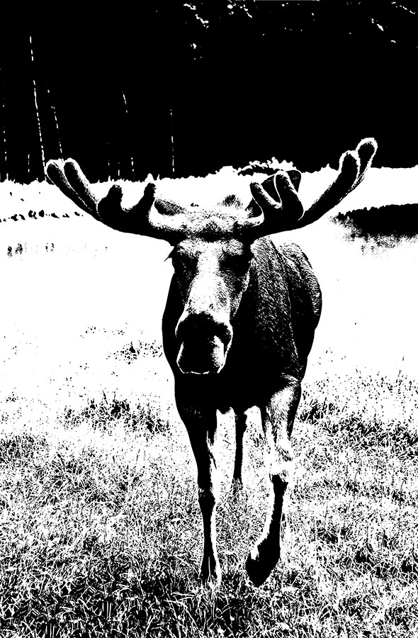 Vector Silhouettes Generator, Addons GraphicRiver