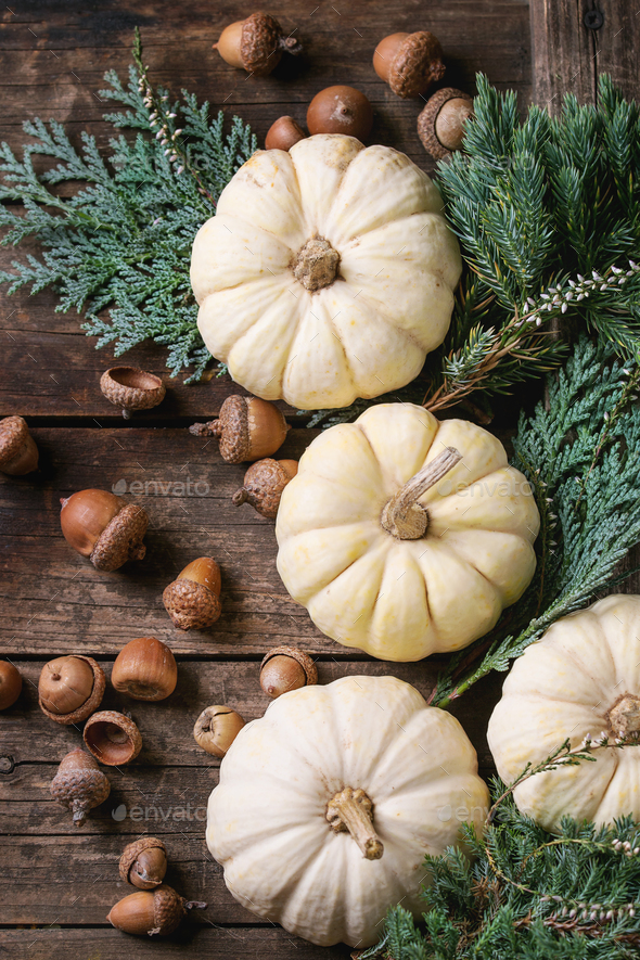 White decorative pumpkins Stock Photo by NatashaBreen PhotoDune