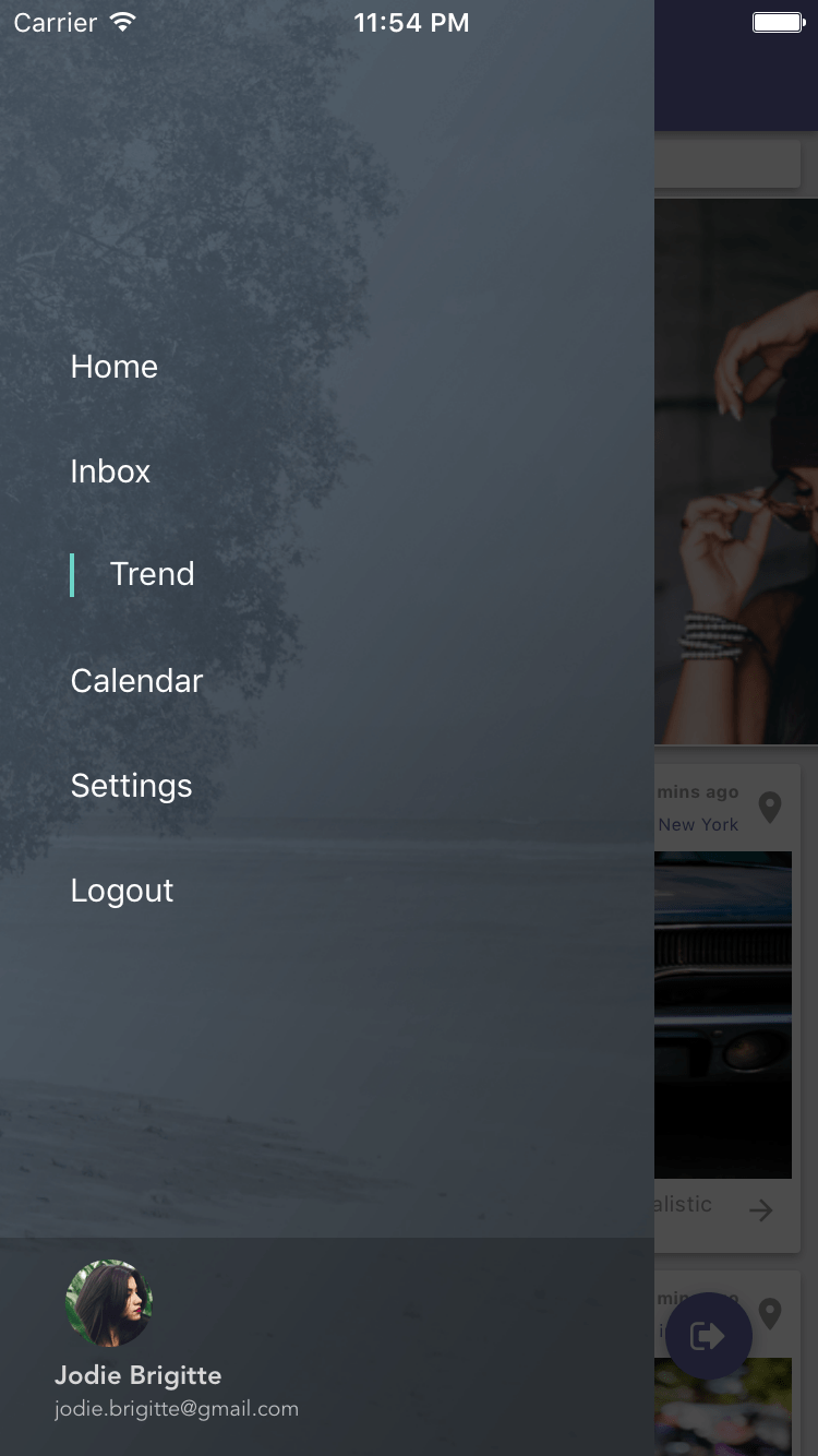 React Native Login Logout Animation by CurvedTrunk