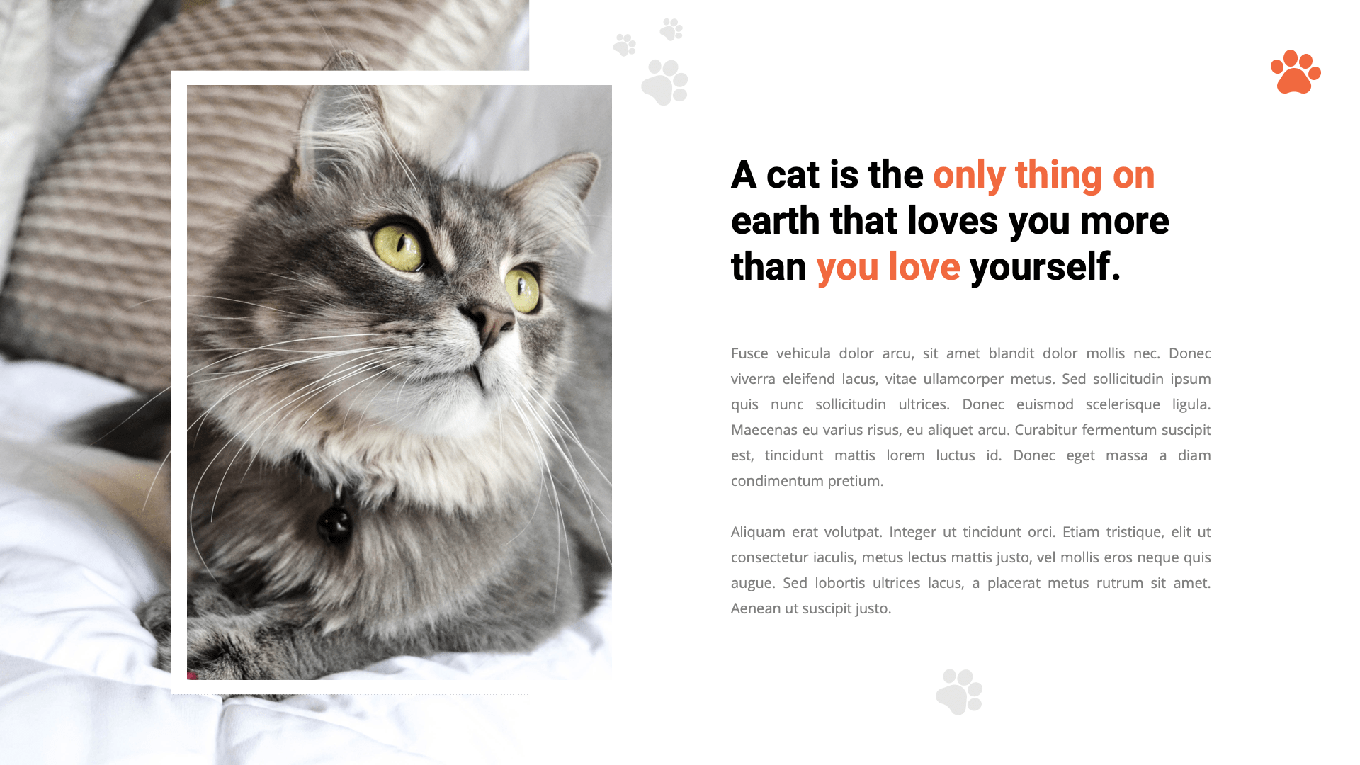 Kitty Cat Animal Google Slides Template, Presentation Templates