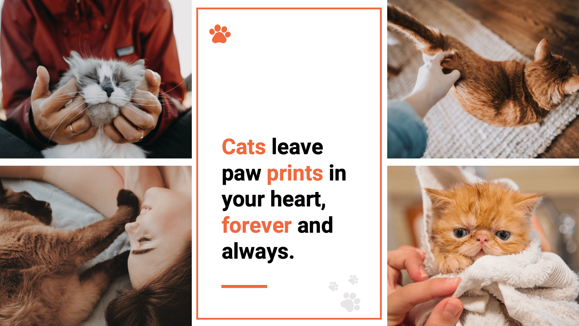 Kitty Cat Animal Google Slides Template, Presentation Templates