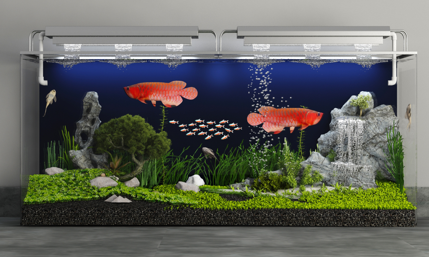 Arowana aquarium by tranduyhieu 3DOcean