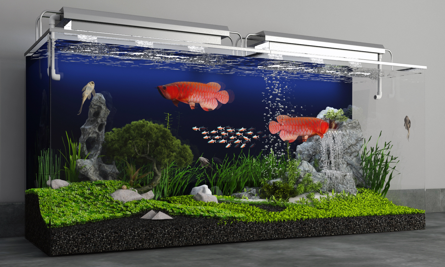 Arowana Aquarium Design