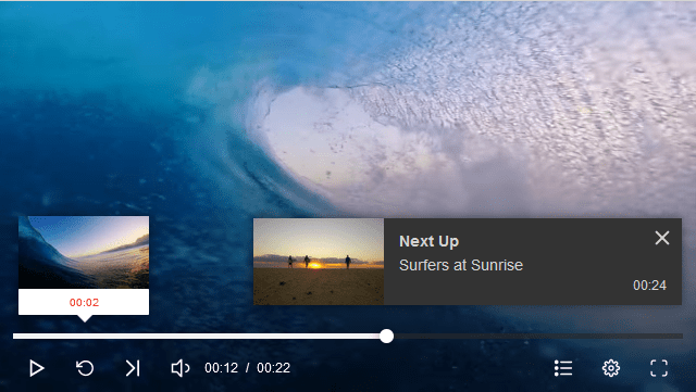 Thin Skin Retina for JW Player by FaceTheme CodeCanyon